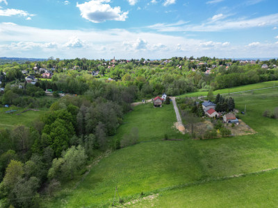 Grabówki - inwestycja w naturę 40 ar przy lesie - Grabówki  -
Małopolskie Zdjęcie nr 8