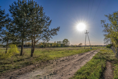 Działka z W-Z na 3 bliźniaki - Kolsko  -
Lubuskie Zdjęcie nr 14
