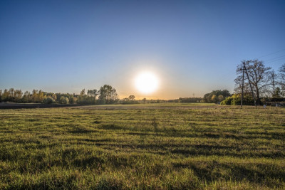 Działka z W-Z na 3 bliźniaki - Kolsko  -
Lubuskie Zdjęcie nr 9