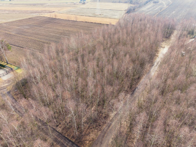 Działka inwestycyjna łódzkie  Rosanów - Rosanów  -
Łódzkie Zdjęcie nr 9