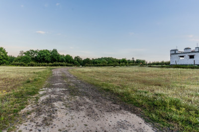 Wioska jezioro i przestrzeń do życia - Kolesin  -
Lubuskie Zdjęcie nr 13