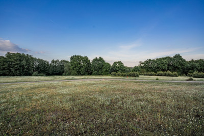 Wioska jezioro i przestrzeń do życia - Kolesin  -
Lubuskie Zdjęcie nr 8