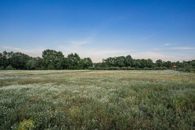 Wioska jezioro i przestrzeń do życia - Kolesin  -
Lubuskie Zdjęcie nr 9