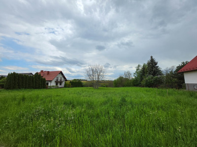 Tatarska  2520 m  Prestiżowa okolica - Przeworsk  -
Podkarpackie Zdjęcie nr 4