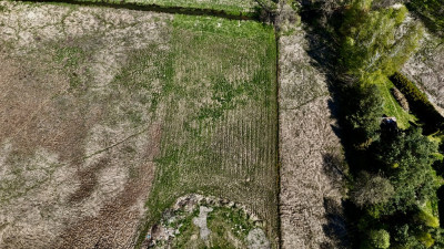 Rzgów ul Pasterniki - działka 1905 m2 z MPZP - Rzgów  -
Łódzkie Zdjęcie nr 11