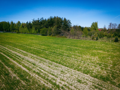Działki budowlane w Mileszkach - Łódź  -
Łódzkie Zdjęcie nr 10