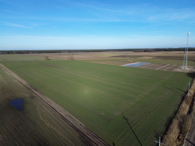 Działki- Jeziora i sześć miast w krótkim zasiegu - Dębowa Łęka  -
Lubuskie Zdjęcie nr 2