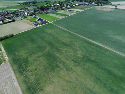 Działka- Jeziora i sześć miast w krótkim zasiegu - Dębowa Łęka  -
Lubuskie Zdjęcie nr 13