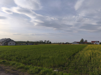 Działka Wola Miedniewska 2999m2 z WZ - OKAZJA - Wola Miedniewska  -
Mazowieckie Zdjęcie nr 3