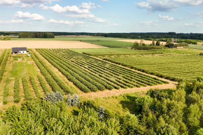 Przepiękna działka budowlana 5955m2 z WZ - OKAZJA - Stary Łajszczew  -
Mazowieckie Zdjęcie nr 11