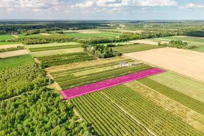 Przepiękna działka budowlana 5955m2 z WZ - OKAZJA - Stary Łajszczew  -
Mazowieckie Zdjęcie nr 8