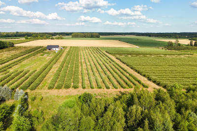 Przepiękna działka budowlana 5955m2 z WZ - OKAZJA - Stary Łajszczew  -
Mazowieckie Zdjęcie nr 9