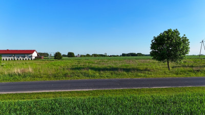 Uzbrojona działka 3846 m z WZ Ujazd gm Kiszkowo - Ujazd  -
Wielkopolskie Zdjęcie nr 12