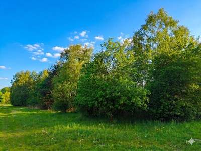 Nieoszlifowany DIAMENT w Karnicach - ZOBACZ - Karnice  -
Mazowieckie Zdjęcie nr 10