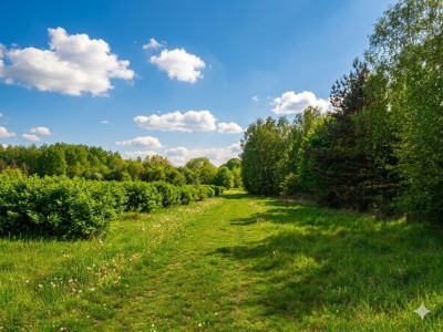 Nieoszlifowany DIAMENT w Karnicach - ZOBACZ - Karnice  -
Mazowieckie Zdjęcie nr 11
