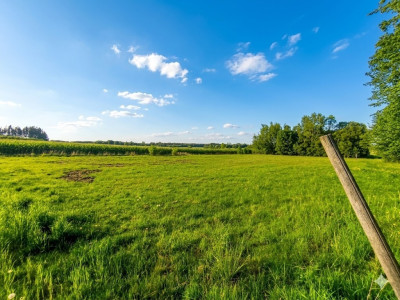 Nieoszlifowany DIAMENT w Karnicach - ZOBACZ - Karnice  -
Mazowieckie Zdjęcie nr 12