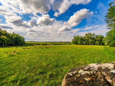 Nieoszlifowany DIAMENT w Karnicach - ZOBACZ - Karnice  -
Mazowieckie Zdjęcie nr 13