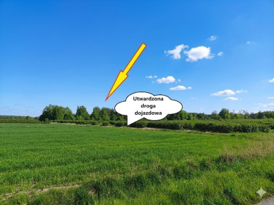 Nieoszlifowany DIAMENT w Karnicach - ZOBACZ - Karnice  -
Mazowieckie Zdjęcie nr 4