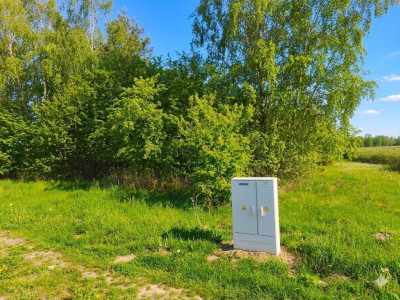 Nieoszlifowany DIAMENT w Karnicach - ZOBACZ - Karnice  -
Mazowieckie Zdjęcie nr 5