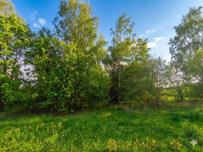 Nieoszlifowany DIAMENT w Karnicach - ZOBACZ - Karnice  -
Mazowieckie Zdjęcie nr 7