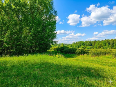 Nieoszlifowany DIAMENT w Karnicach - ZOBACZ - Karnice  -
Mazowieckie Zdjęcie nr 9