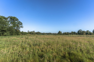Wiejski klimat-miejski komfort - Paproć  -
Wielkopolskie Zdjęcie nr 12