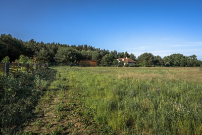 Wiejski klimat-miejski komfort - Paproć  -
Wielkopolskie Zdjęcie nr 13