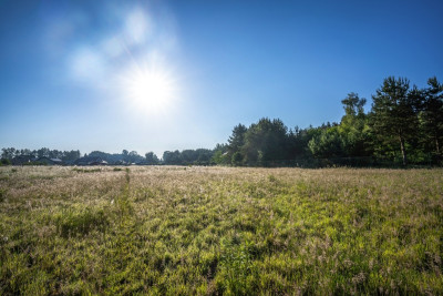 Wiejski klimat-miejski komfort - Paproć  -
Wielkopolskie Zdjęcie nr 8