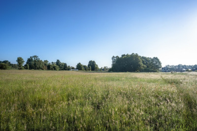Wiejski klimat-miejski komfort - Paproć  -
Wielkopolskie Zdjęcie nr 9