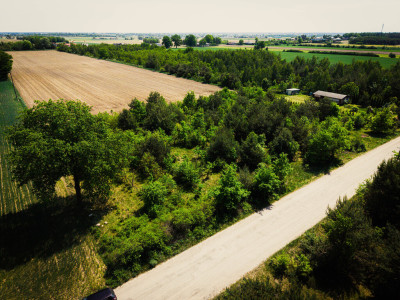 Łaznowska Wola - duża działka w małej cenie - Łaznowska Wola  - Łódzkie