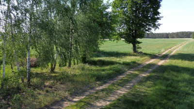 Tu poranki smakują spokojem - działka z MPZP - Parzęczew  -
Łódzkie Zdjęcie nr 10