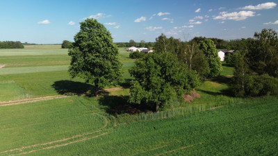 Tu poranki smakują spokojem - działka z MPZP - Parzęczew  -
Łódzkie Zdjęcie nr 11