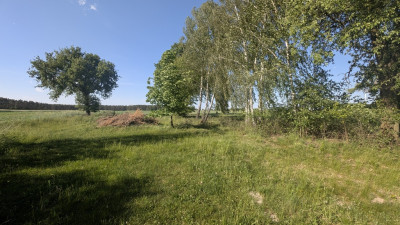 Tu poranki smakują spokojem - działka z MPZP - Parzęczew  -
Łódzkie Zdjęcie nr 7