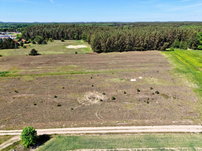 Mierzyn  Odetchnij blisko jeziora  1139 m z WZ - Mierzyn  -
Wielkopolskie Zdjęcie nr 8