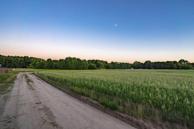 Spokój nad jeziorem kilka minut od centrum - Boszkowo  -
Wielkopolskie Zdjęcie nr 9