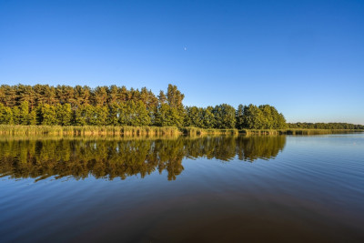 Działka która ma już wszystko oprócz właściciela - Perkowo  -
Wielkopolskie Zdjęcie nr 10