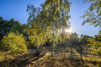Działka która ma już wszystko oprócz właściciela - Perkowo  -
Wielkopolskie Zdjęcie nr 5