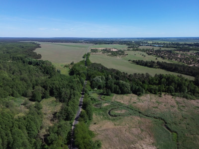 Działka blisko granicy 12 min od Słubic - Rybocice  -
Lubuskie Zdjęcie nr 9