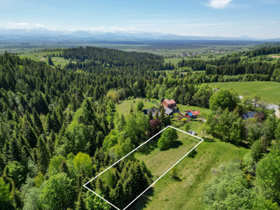 Działka budowlana z lasem  Odrowąż - Odrowąż  -
Małopolskie Zdjęcie nr 4