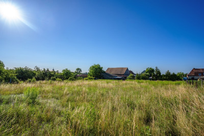 Działka z WZ blisko Jeziora Wilkowskiego - Wilkowo  -
Lubuskie Zdjęcie nr 10