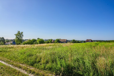 Działka z WZ blisko Jeziora Wilkowskiego - Wilkowo  -
Lubuskie Zdjęcie nr 13
