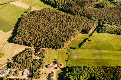Atrakcyjne działki z lasem - Ludwinów  -
Wielkopolskie Zdjęcie nr 4