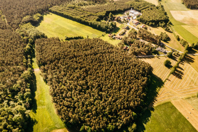 Atrakcyjne działki z lasem - Ludwinów  -
Wielkopolskie Zdjęcie nr 6