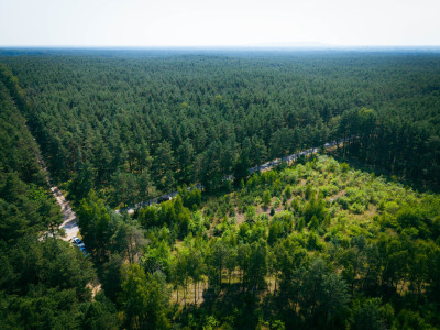 Działka budowlana 3000m2 Osina gm Kluki - Osina  -
Łódzkie Zdjęcie nr 10