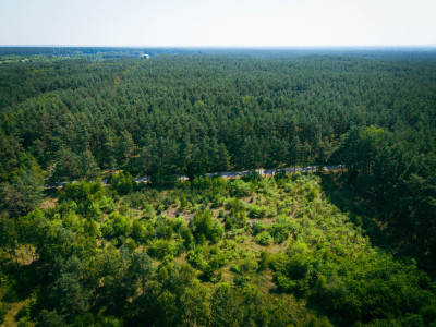 Działka budowlana 3000m2 Osina gm Kluki - Osina  -
Łódzkie Zdjęcie nr 11