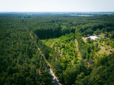Działka budowlana 3000m2 Osina gm Kluki - Osina  -
Łódzkie Zdjęcie nr 4
