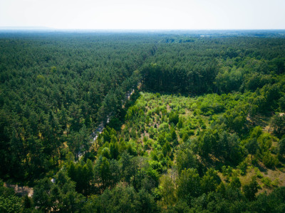 Działka budowlana 3000m2 Osina gm Kluki - Osina  -
Łódzkie Zdjęcie nr 8