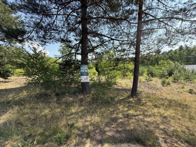Działka rekreacyjna 2625m2 Osina gm Kluki - Osina  -
Łódzkie Zdjęcie nr 7