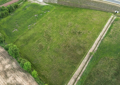 Działki inwestycyjne Nowy Tomyśl - Sękowo  -
Wielkopolskie Zdjęcie nr 11