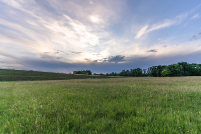 Działki inwestycyjne Nowy Tomyśl - Sękowo  -
Wielkopolskie Zdjęcie nr 12